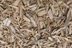 biomass boilers Preeshenlle